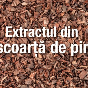 scoarta de pin